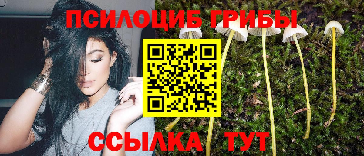 Аргун  Псилоцибиновые грибы Magic Shrooms  Вход с VPN 