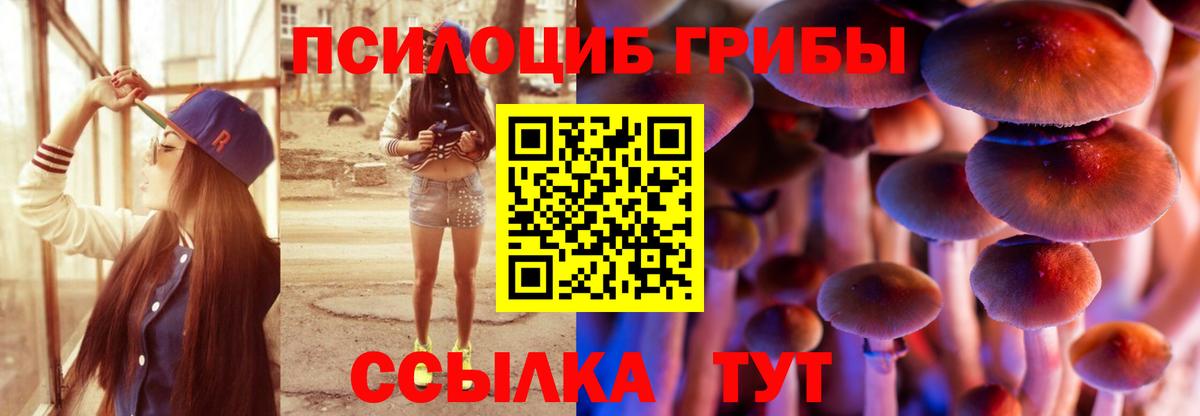 Псилоцибиновые грибы прущие грибы Аргун